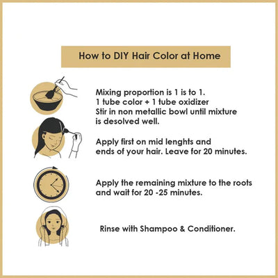 Bremod Premium 8.17 Milk Tea Ash Hair Color with Oxidizer Combo